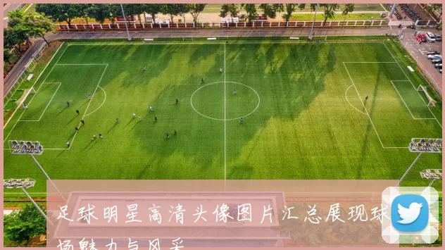 足球明星高清头像图片汇总展现球场魅力与风采