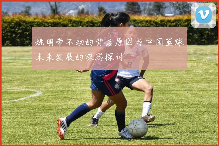 姚明带不动的背后原因与中国篮球未来发展的深思探讨