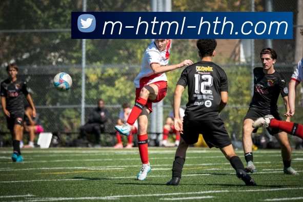 平台展示图