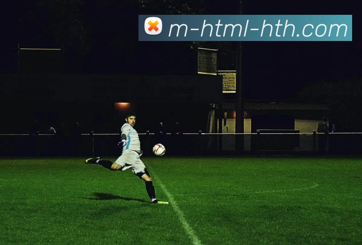 多媒体互动体验